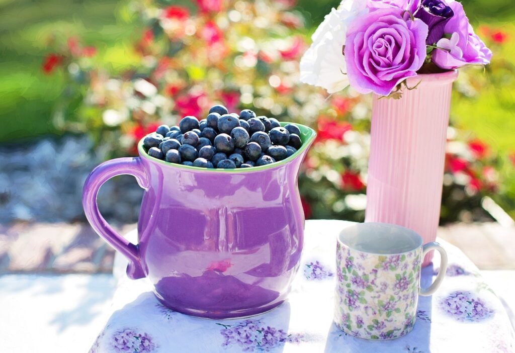 blueberries, summer, fruit-864627.jpg