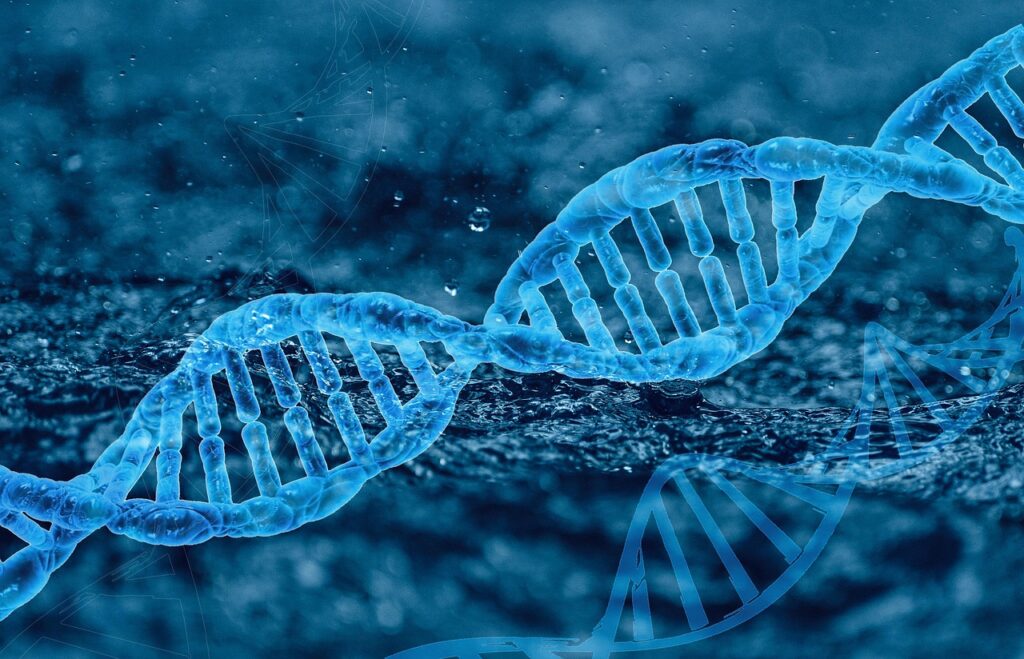 dna, genetics, molecule-5695421.jpg