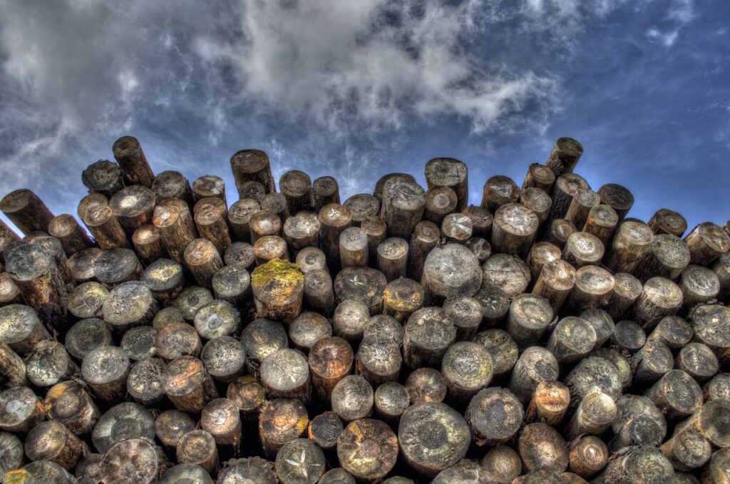 logs, wood, lumber-498538.jpg